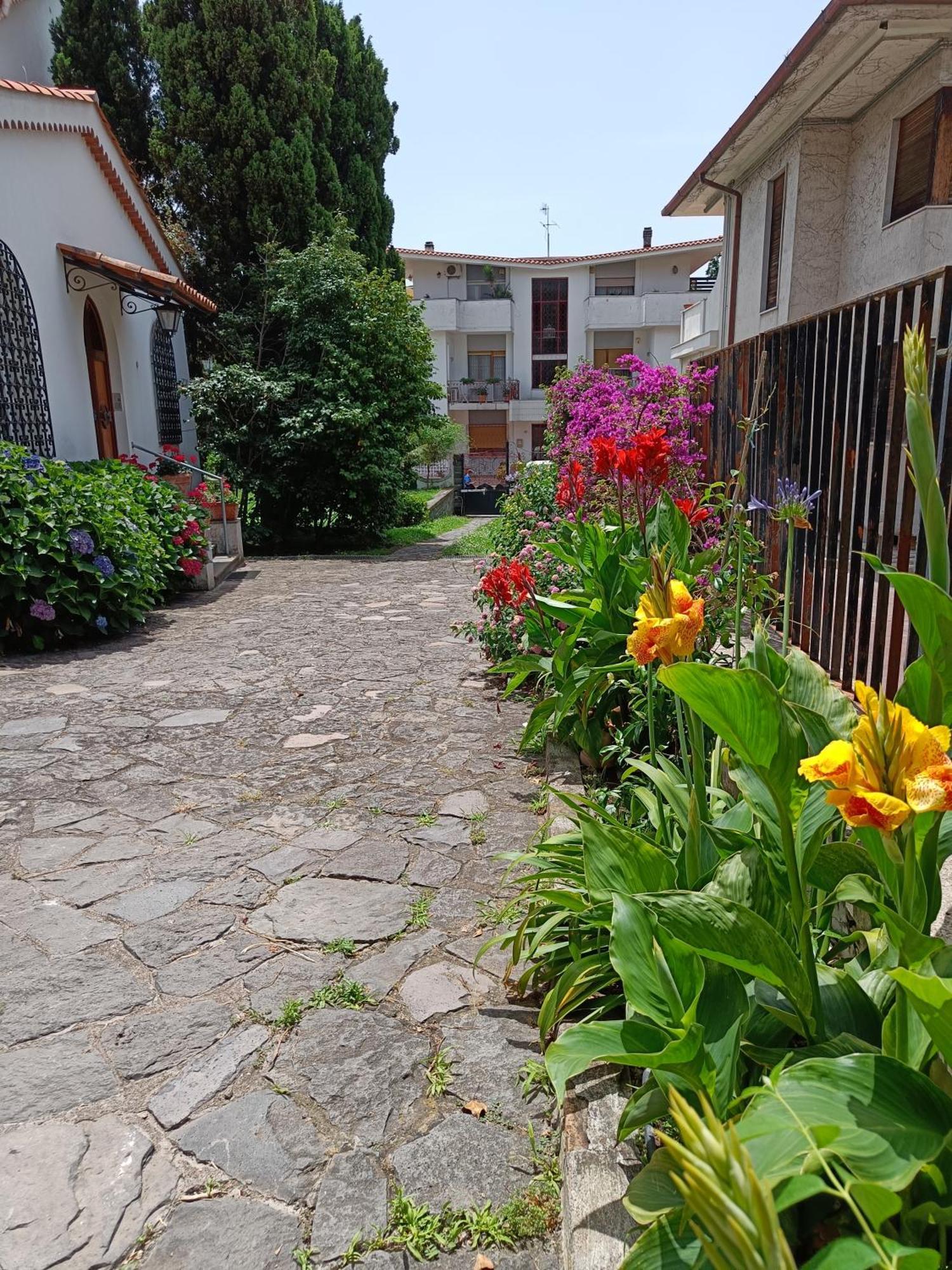 Apartamento Casa Olivella Torre del Greco Exterior foto