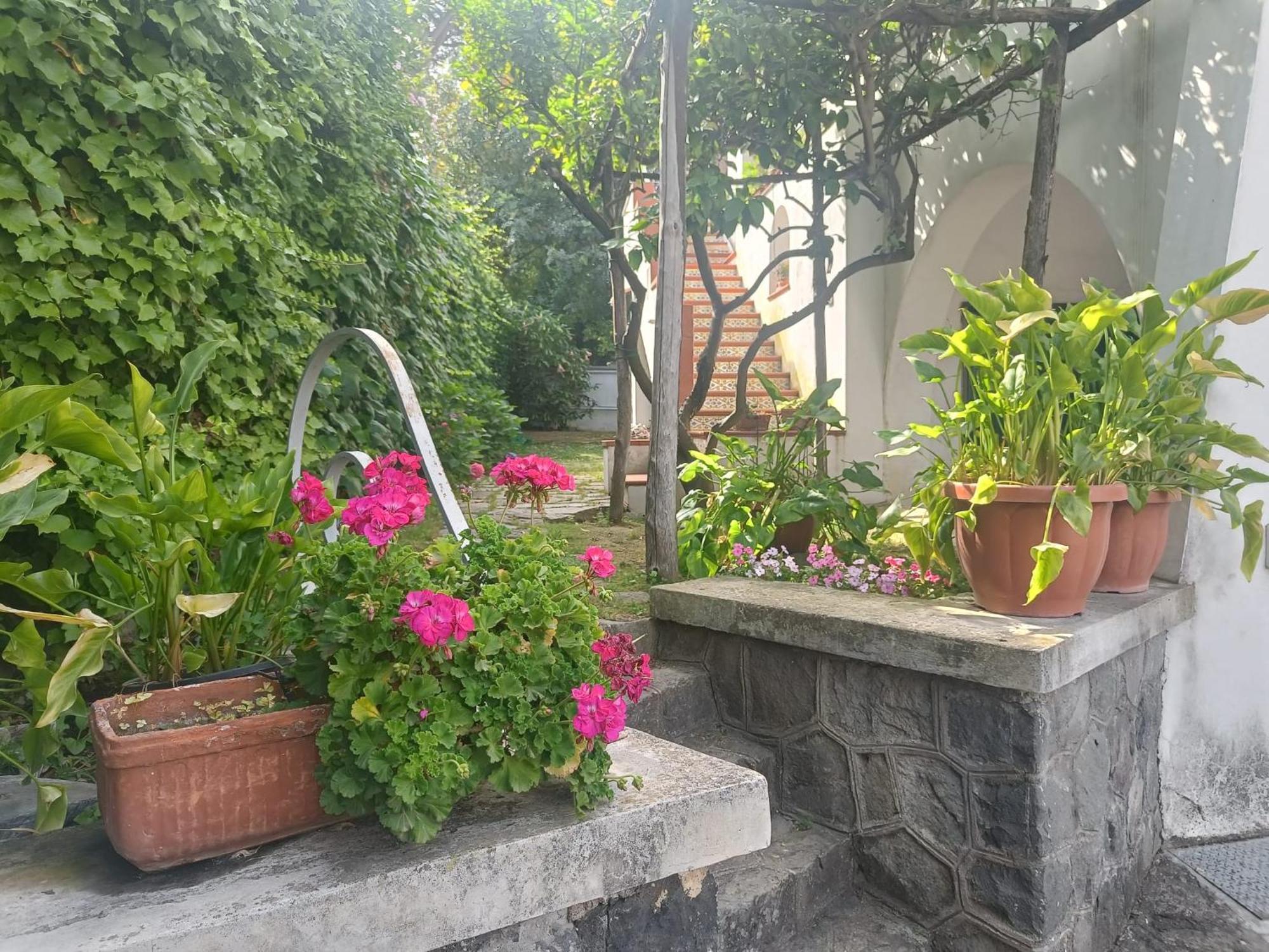 Apartamento Casa Olivella Torre del Greco Exterior foto